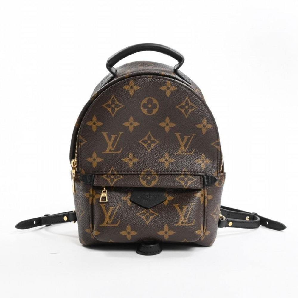 Louis Vuitton Palm Springs Mini Backpack